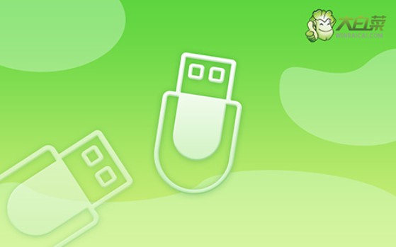 電腦開不了機怎么u盤裝系統-電腦開不了機如何U盤裝系統